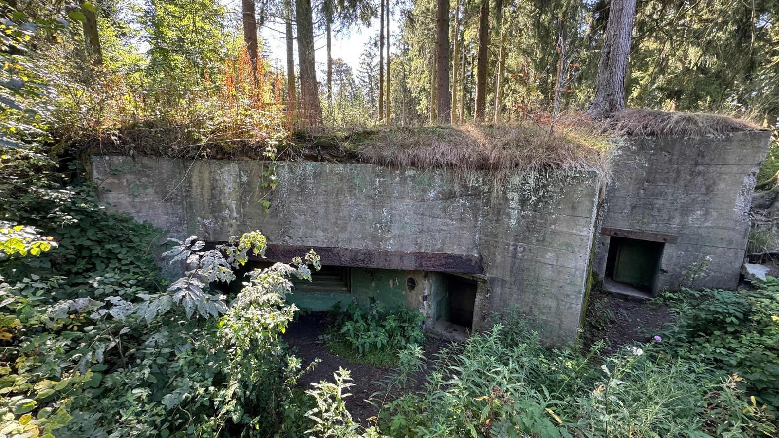 Bunker 132 tussen de bomen op de Buhlert bij Simonskall